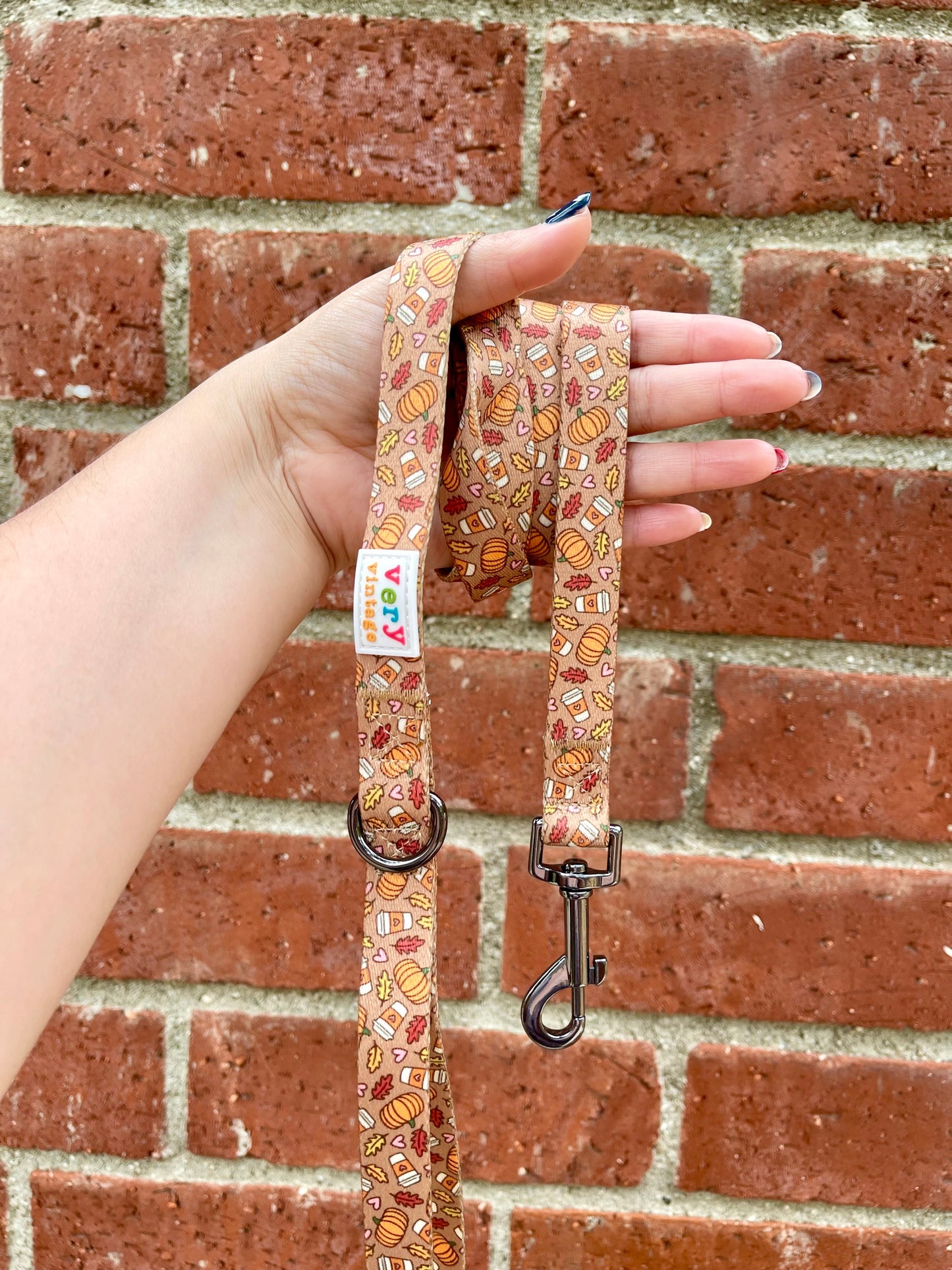 Pumpkin Spice Dog Leash – Fall Coffee Print Lead – Recycled & Eco-Friendly