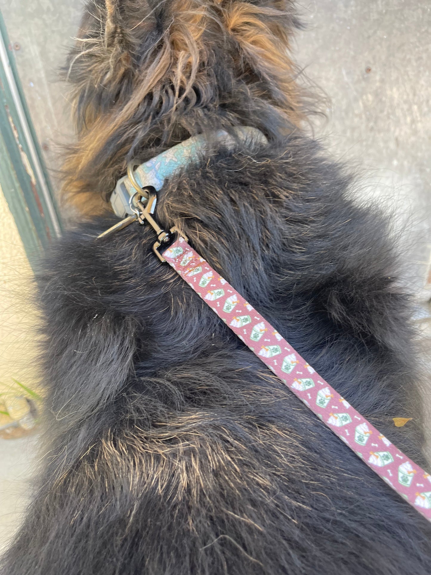 Puppachino - Recycled Eco-Friendly 5 ft Leash