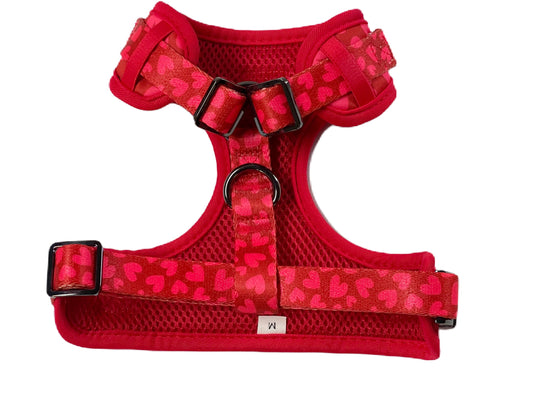 Love is in the Air - Adjustable Dog Harness - Heavy Duty Metal Hardware