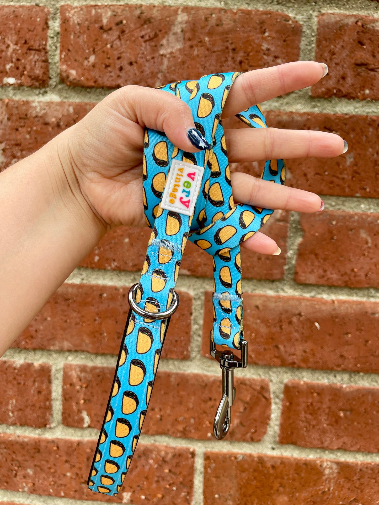 Taco Tuesday Dog Leash – Blue Mexican Food Print – Recycled & Eco-Friendly