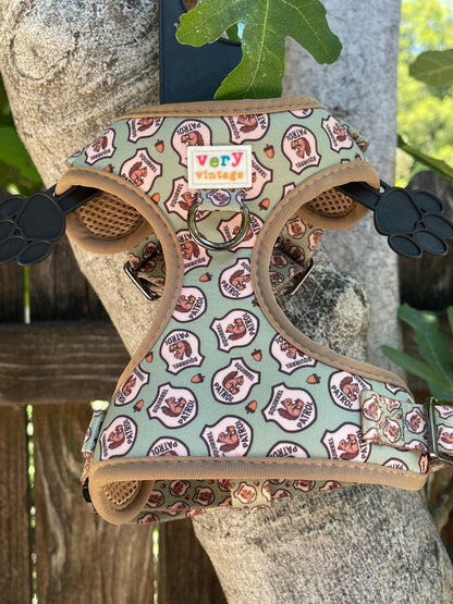 Squirrel Patrol No-Pull Dog Harness – Eco-Friendly Adventure Gear
