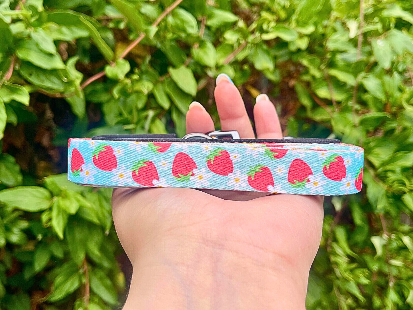 Berry Bestie Dog Leash – Strawberry Print Lead – Recycled & Eco-Friendly