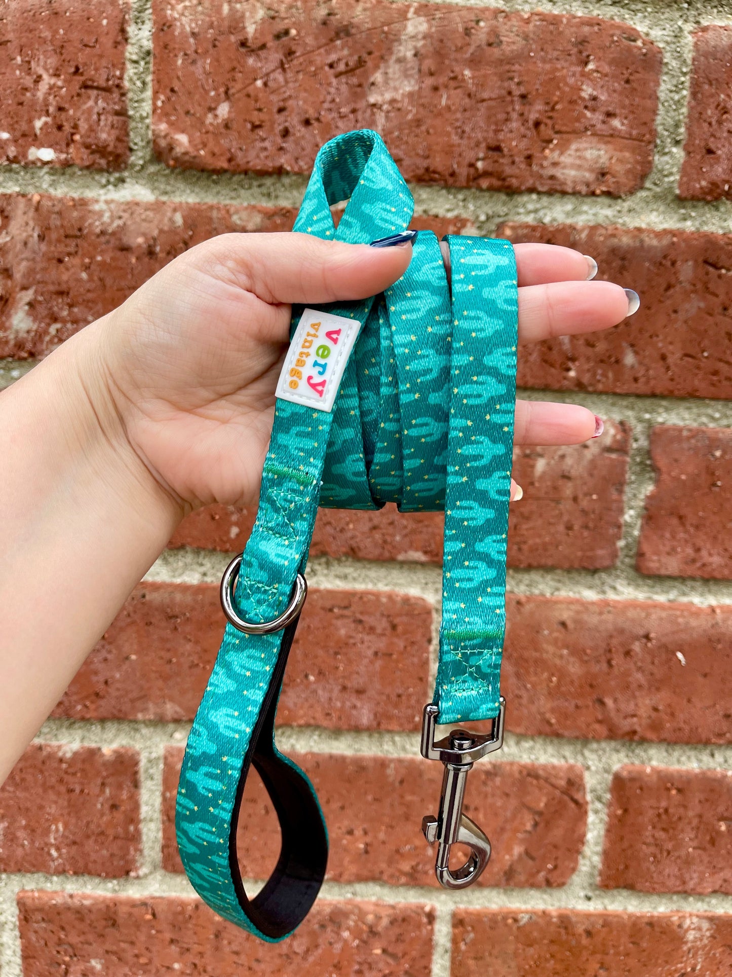Cactus Dog Leash – Teal Desert Print Lead – Eco-Friendly & Stylish