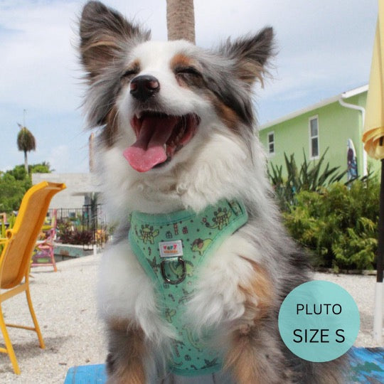 Christmas Dinos - Adjustable Dog Harness - Heavy Duty Metal Hardware