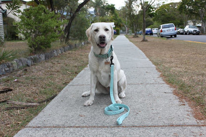 Matching Hand-crafted Dog Leash - Choose Your Fabric & Hardware Finish