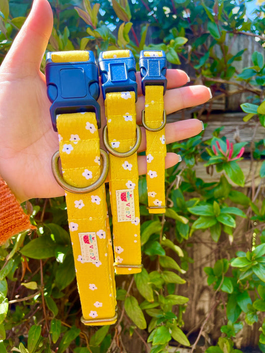 Elderflower – Mustard Yellow Floral Dog & Cat Collar – Vintage Blossom Print – Organic Cotton – Handmade in the USA