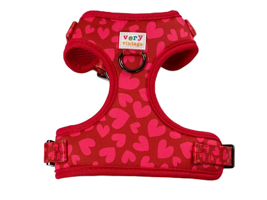 Love is in the Air - Adjustable Dog Harness - Heavy Duty Metal Hardware