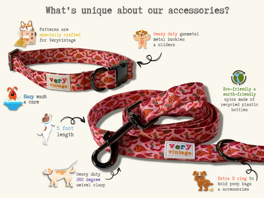 Irish Beer - Recycled Eco-Friendly 5 ft Leash